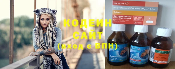 мдпв Бородино