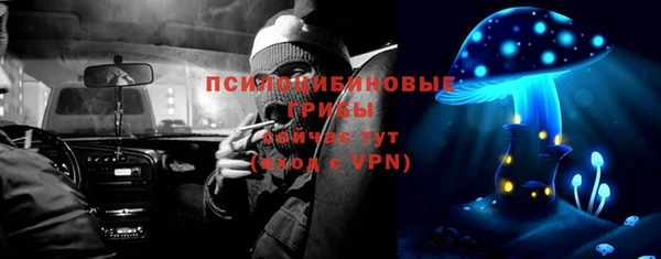 мдпв Бородино