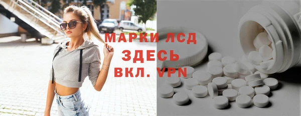 мдпв Бородино