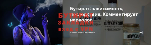 мдпв Бородино