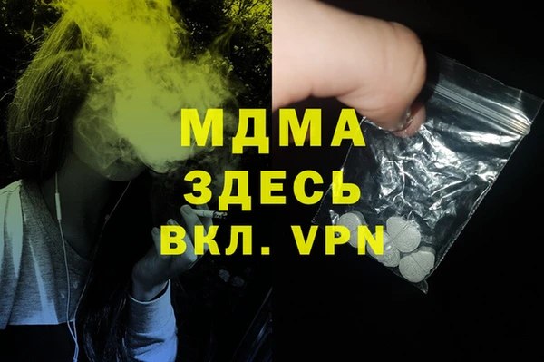мдпв Бородино