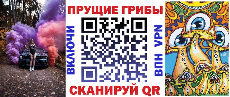 Псилоцибиновые грибы прущие грибы  Ленинградская 