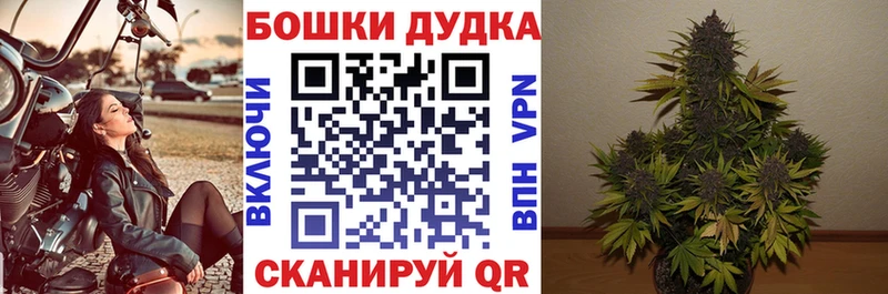 МАРИХУАНА семена Ленинградская