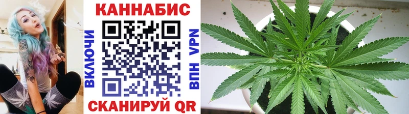 Конопля MAZAR  Ленинградская 